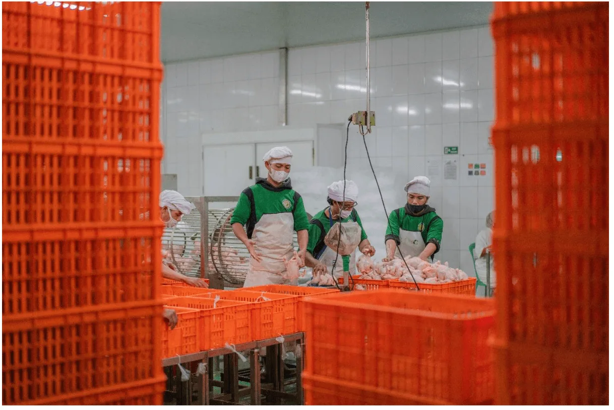 chicken_processing