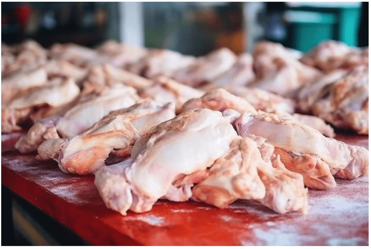 ayam potong